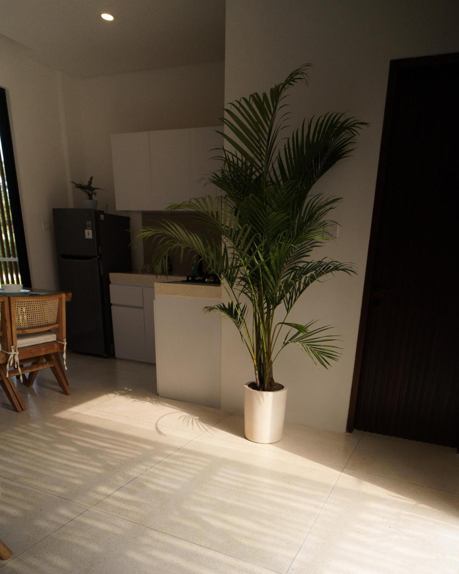 Bikini Bottom - Beautiful 2Br Villa In Umalas Canggu  Exterior photo