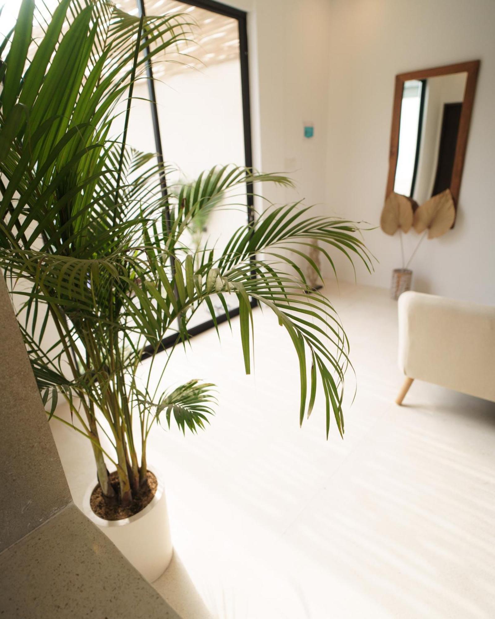 Bikini Bottom - Beautiful 2Br Villa In Umalas Canggu  Exterior photo